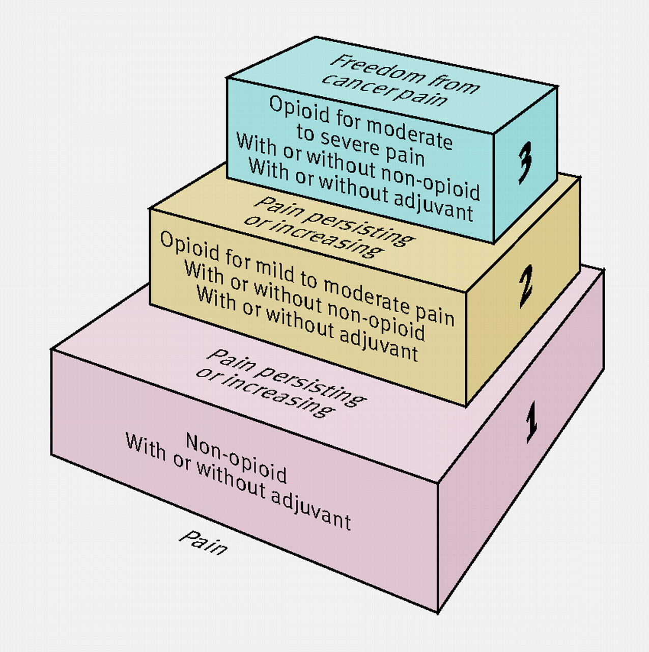 Hospice ativan drip in
